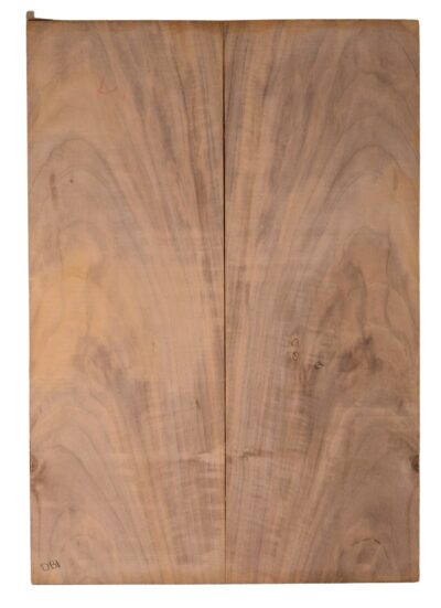 Walnut (English) GuitarBack2pcATC CHAMPTR.G.086