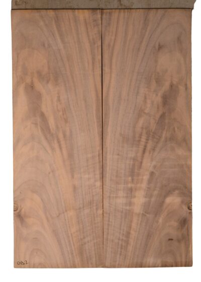 Walnut (English) GuitarBack2pcATC CHAMPTR.G.089