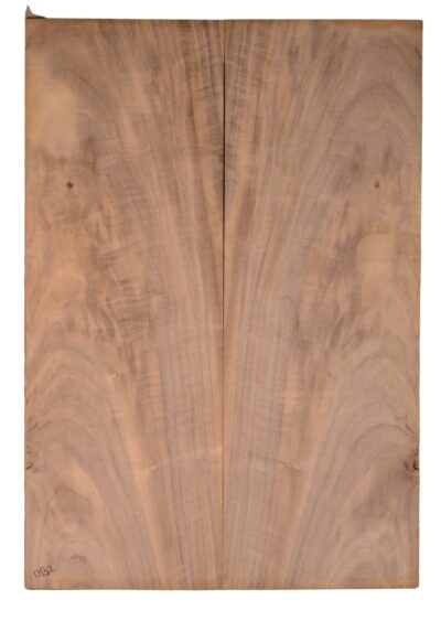 Walnut (English) GuitarBack2pcATC CHAMPTR.G.090