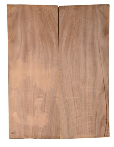 Walnut (English) GuitarBack2pcATC CHAMPTR.G.093