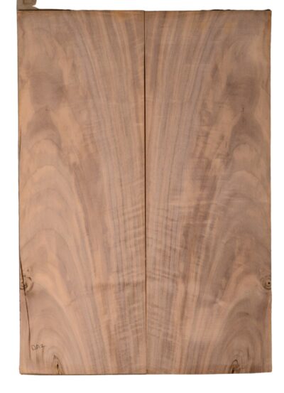 Walnut (English) GuitarBack2pcATC CHAMPTR.G.094