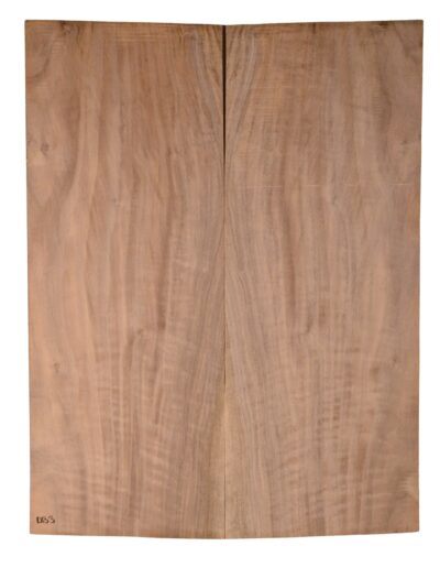 Walnut (English) GuitarBack2pcATC CHAMPTR.G.095
