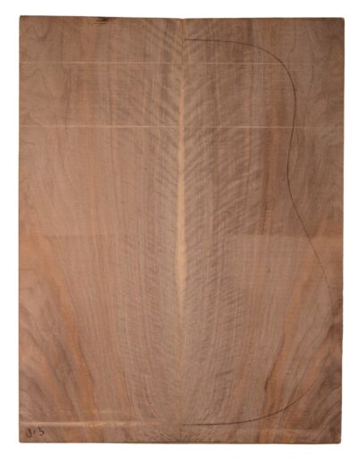 Walnut (English) GuitarBack2pcATC CHAMPTR.G.102