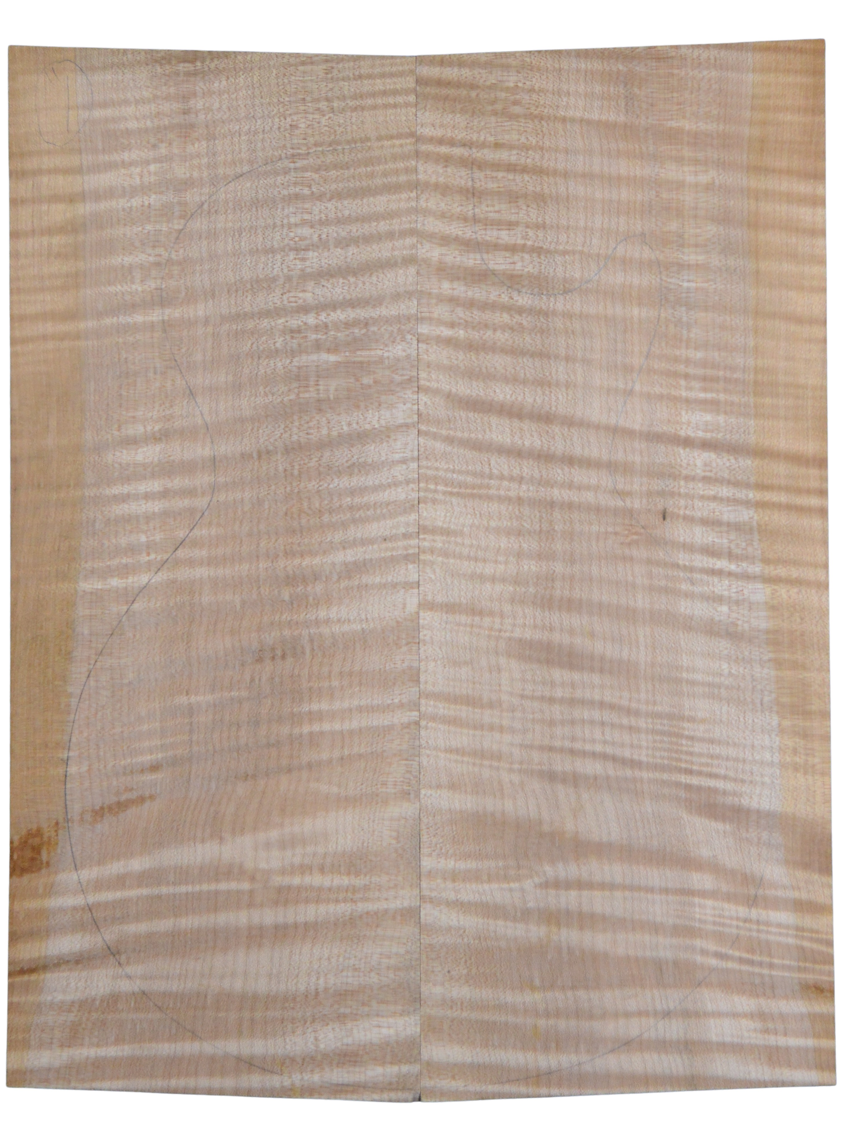 Maple (Big Leaf) GuitarSolidBodyTopATC CRLLP.G.004
