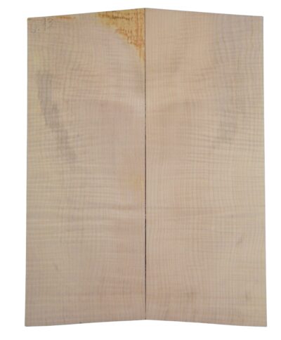 Maple (Big Leaf) GuitarSolidBodyTopATC CRLLP.G.029