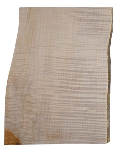 Maple (Big Leaf) GuitarSolidBodyTopATC CRLLP.G.030