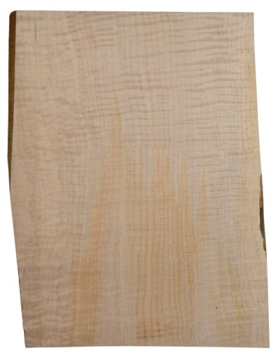 Maple (Big Leaf) GuitarSolidBodyTopATC CRLLP.G.031