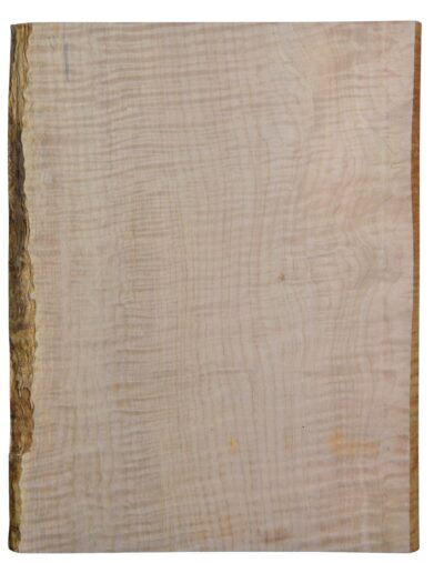 Maple (Big Leaf) GuitarSolidBodyTopATC CRLLP.G.032