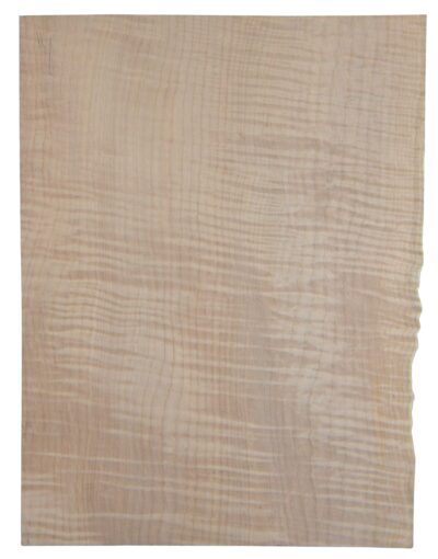 Maple (Big Leaf) GuitarSolidBodyTopATC CRLLP.G.035