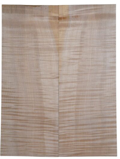 Maple (Big Leaf) GuitarSolidBodyTopATC CRLLP.G.040