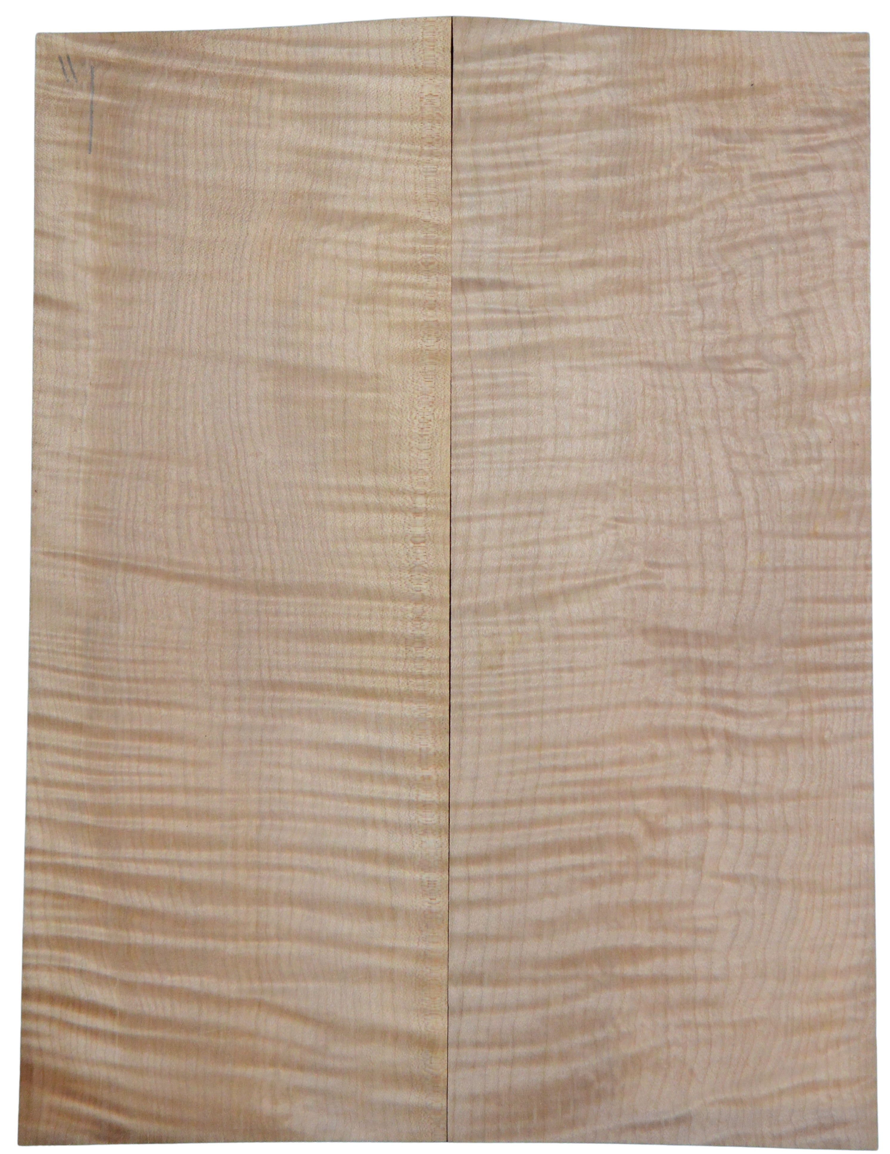 Maple (Big Leaf) GuitarSolidBodyTopATC CRLLP.G.044
