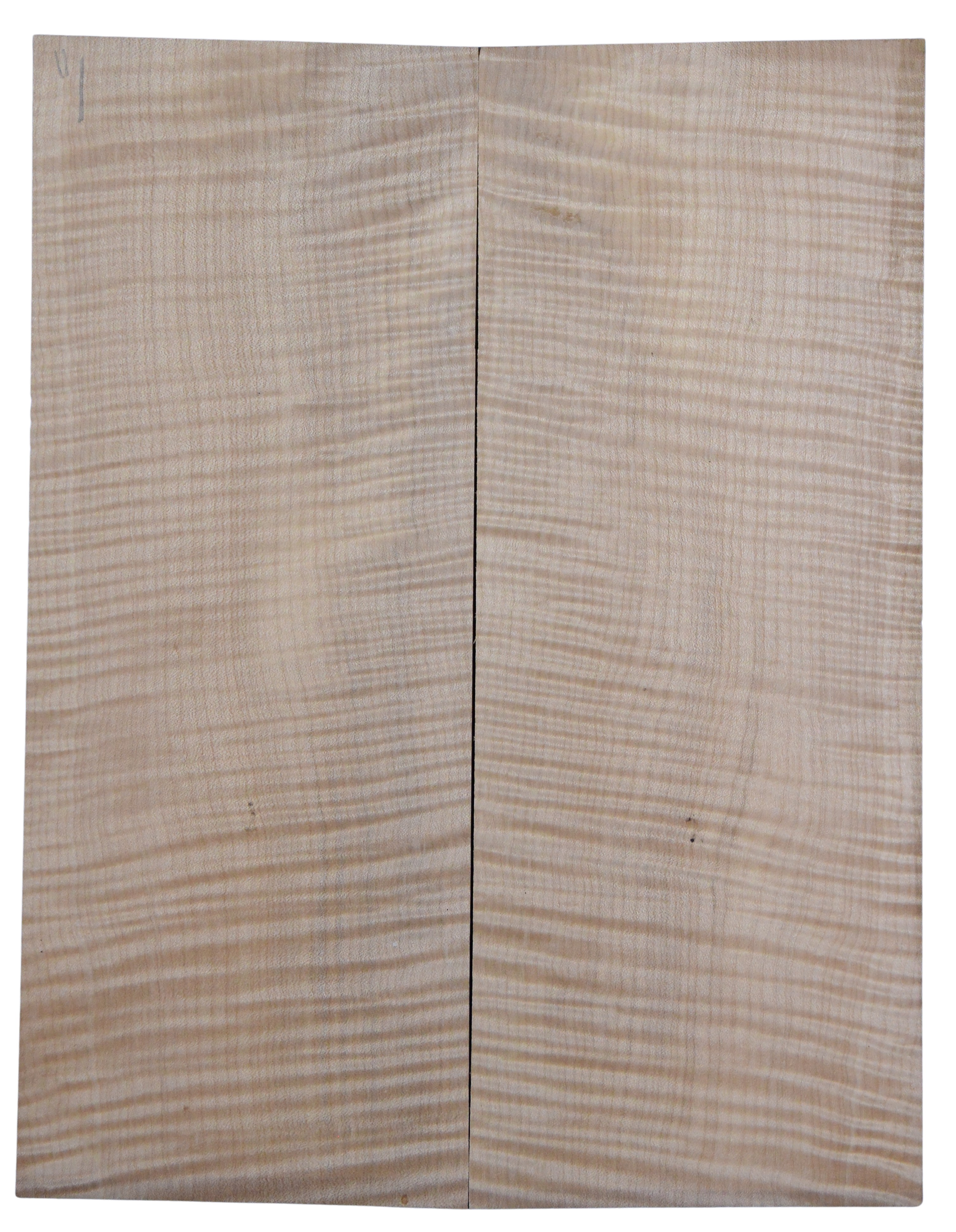Maple (Big Leaf) GuitarSolidBodyBilletATC CRLLP.G.067