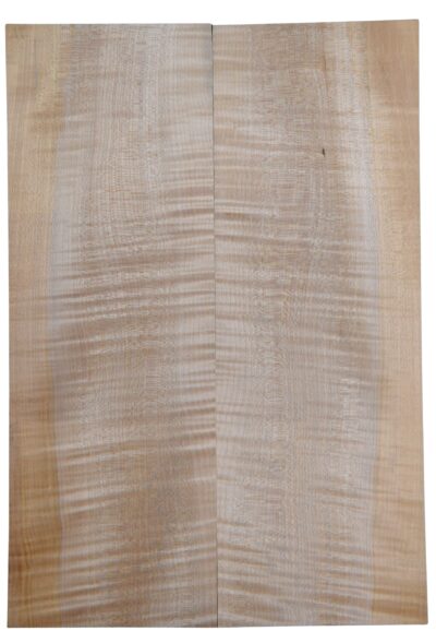 Maple (Big Leaf) GuitarSolidBodyBilletATC CRLLP.G.086
