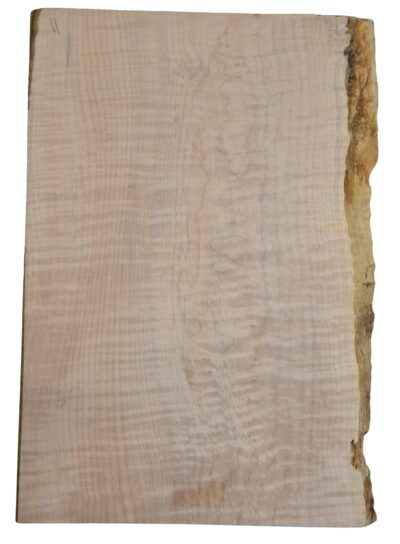 Maple (Big Leaf) GuitarSolidBodyTopATC CRLLP.G.094