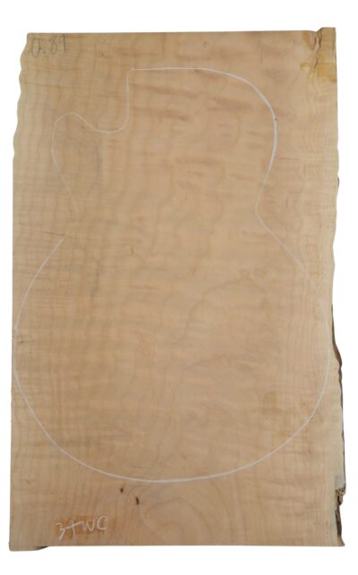 Maple (Big Leaf) GuitarSolidBodyTopATC CRLLP.G.096