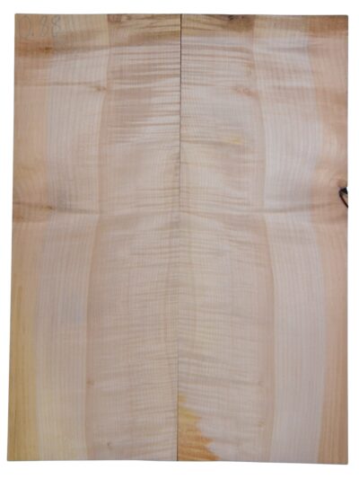 Maple (Big Leaf) GuitarSolidBodyTopATC CRLLP.G.117