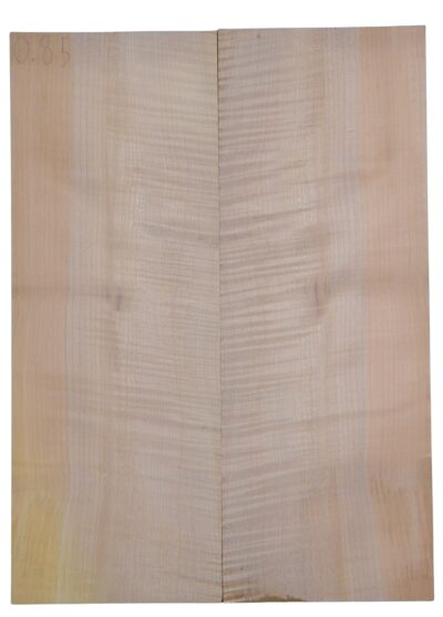 Maple (Big Leaf) GuitarSolidBodyTopATC CRLLP.G.120