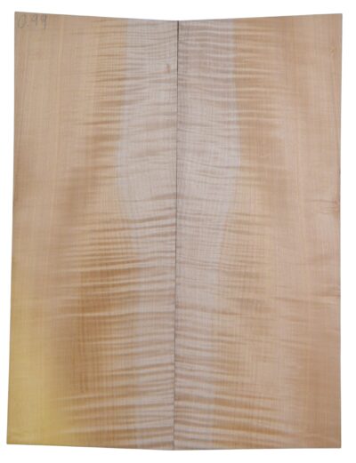 Maple (Big Leaf) GuitarSolidBodyTopATC CRLLP.G.141