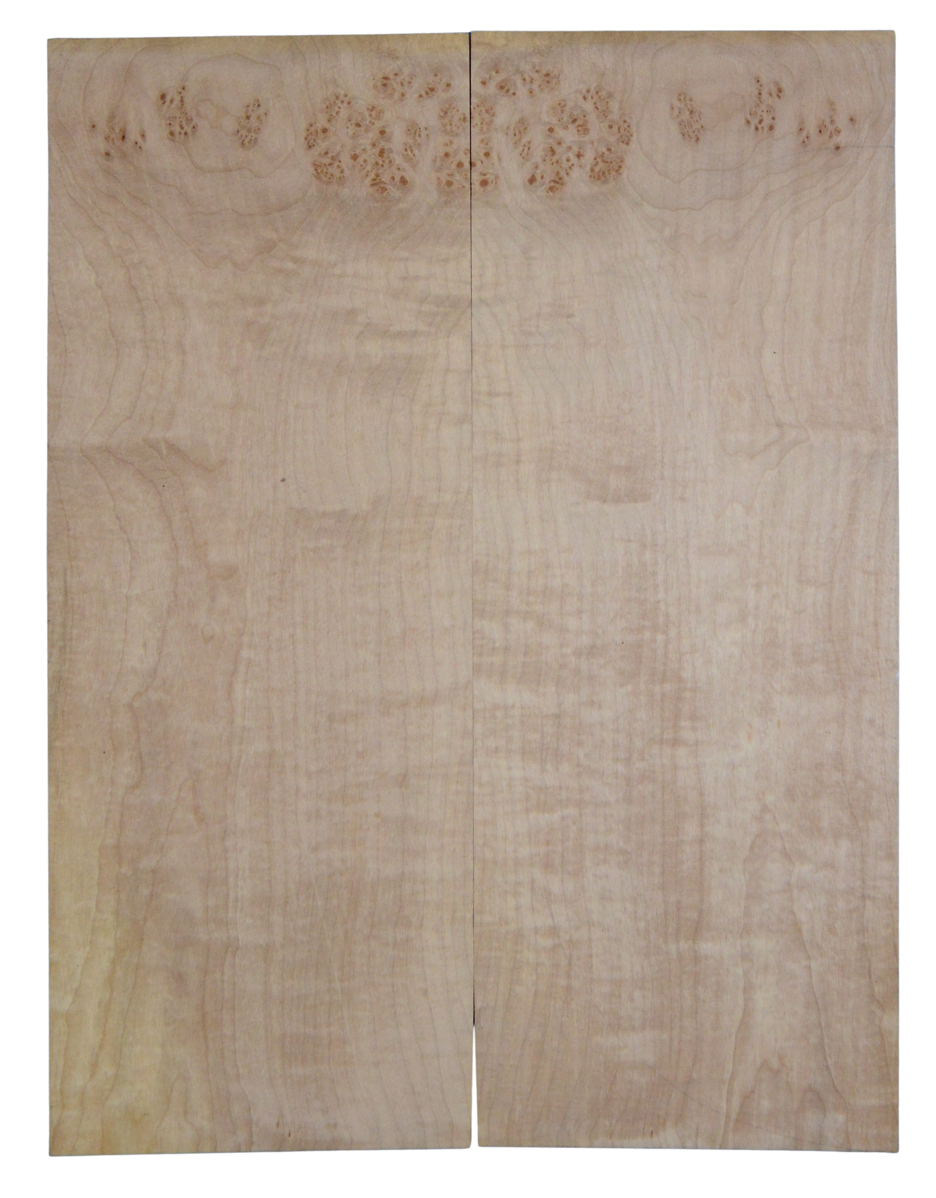 Maple (Big Leaf) GuitarSolidBodyTopATC CRLLP.G.168