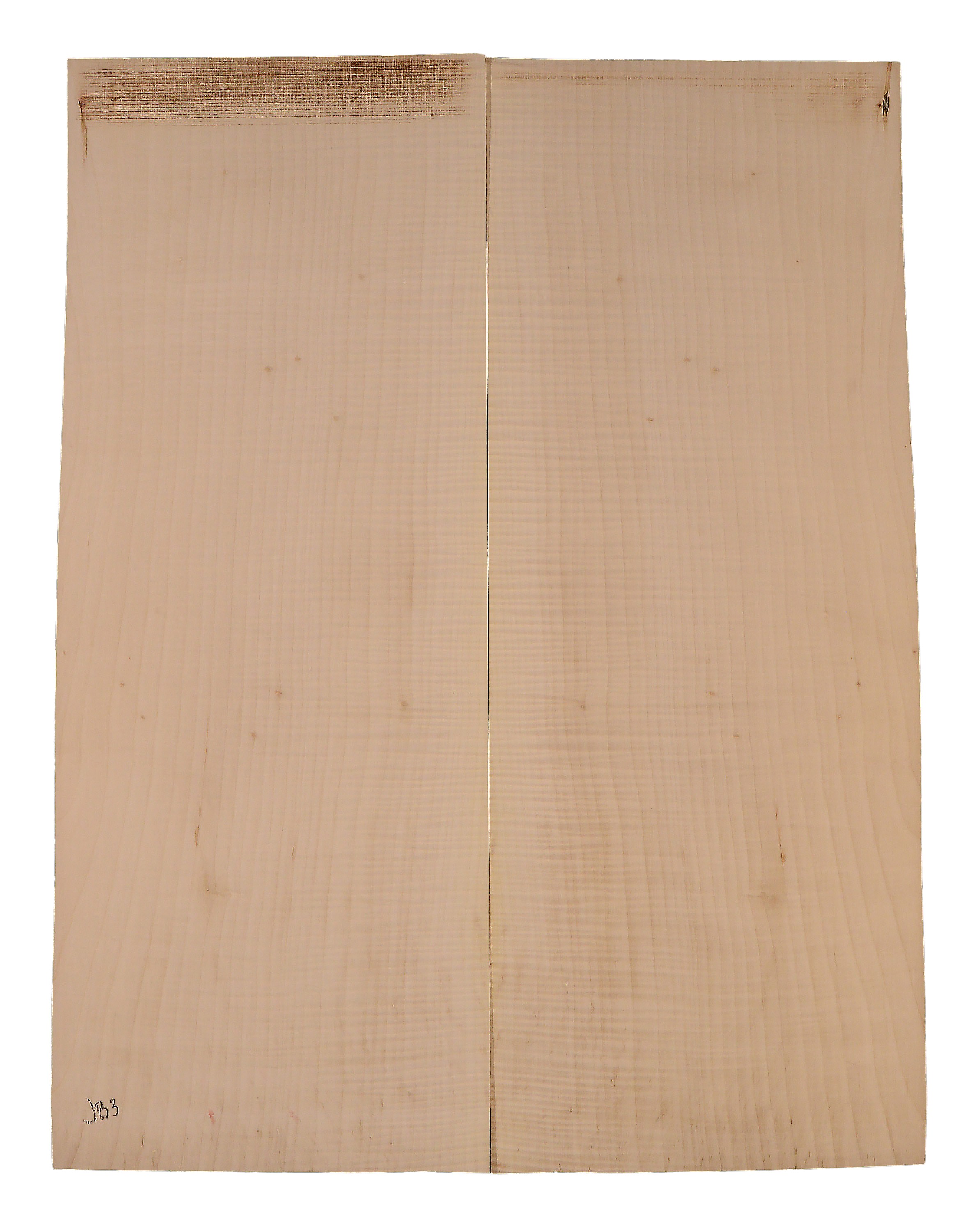 Sycamore (English) GuitarBack2pcATC EM.ENSYC1.016