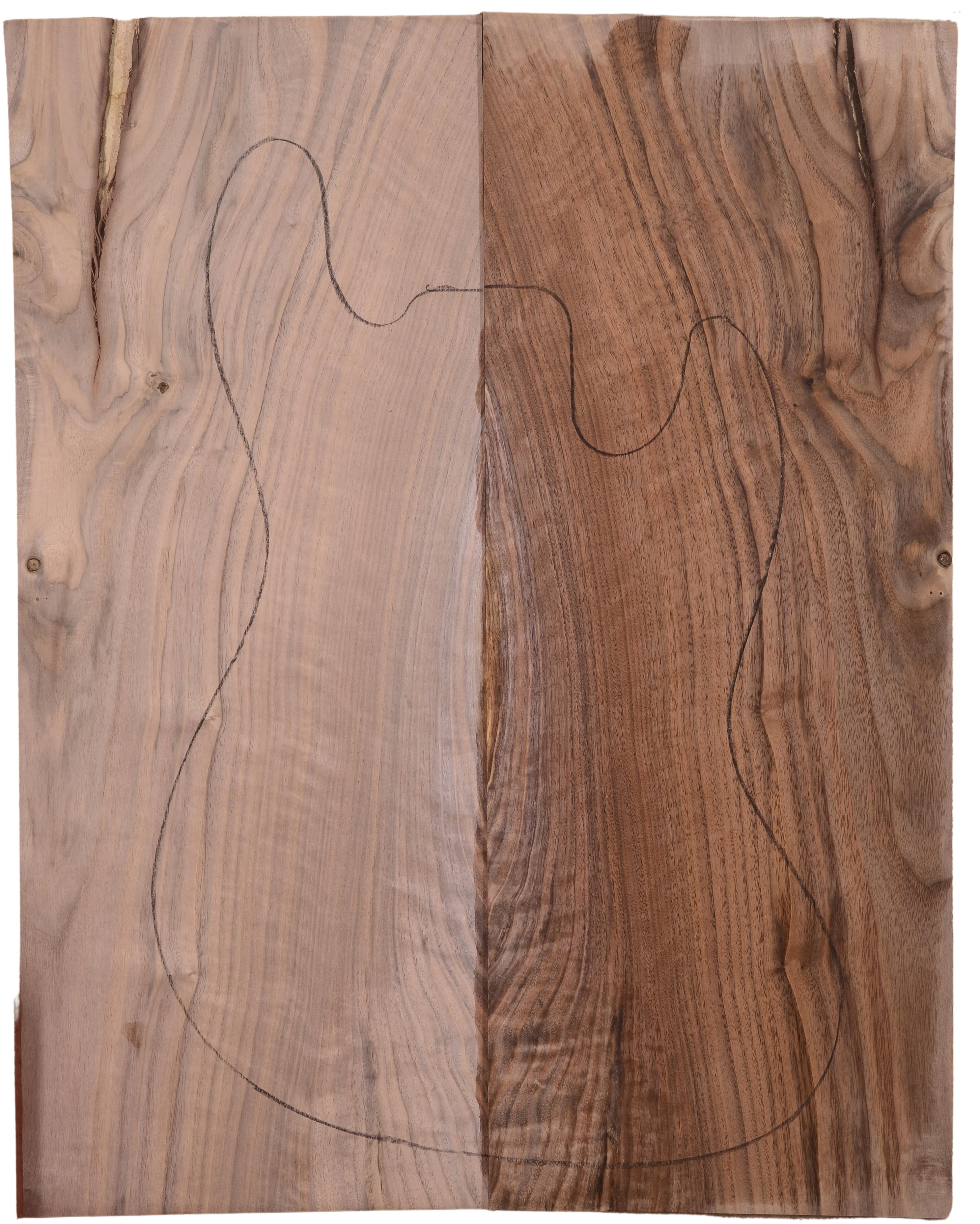 Walnut (Black) GuitarSolidBodyTopATC FENWAL.G.002