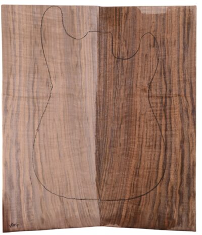 Walnut (Black) GuitarSolidBodyTopATC FENWAL.G.004
