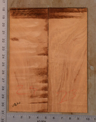 Mahogany (Genuine) UkeBack2pcATC GMAH5.113