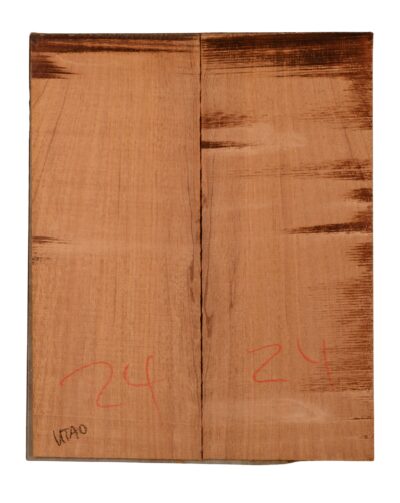 Mahogany (Genuine) UkeBack2pcATC GMAH5.125