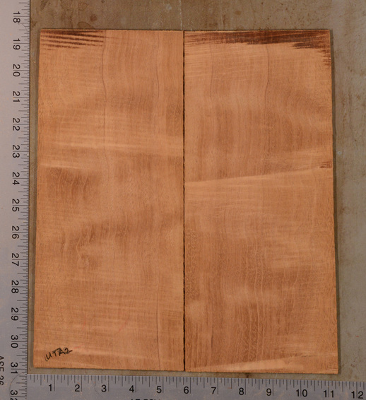 Mahogany (Genuine) UkeBack2pcATC GMAH5.136