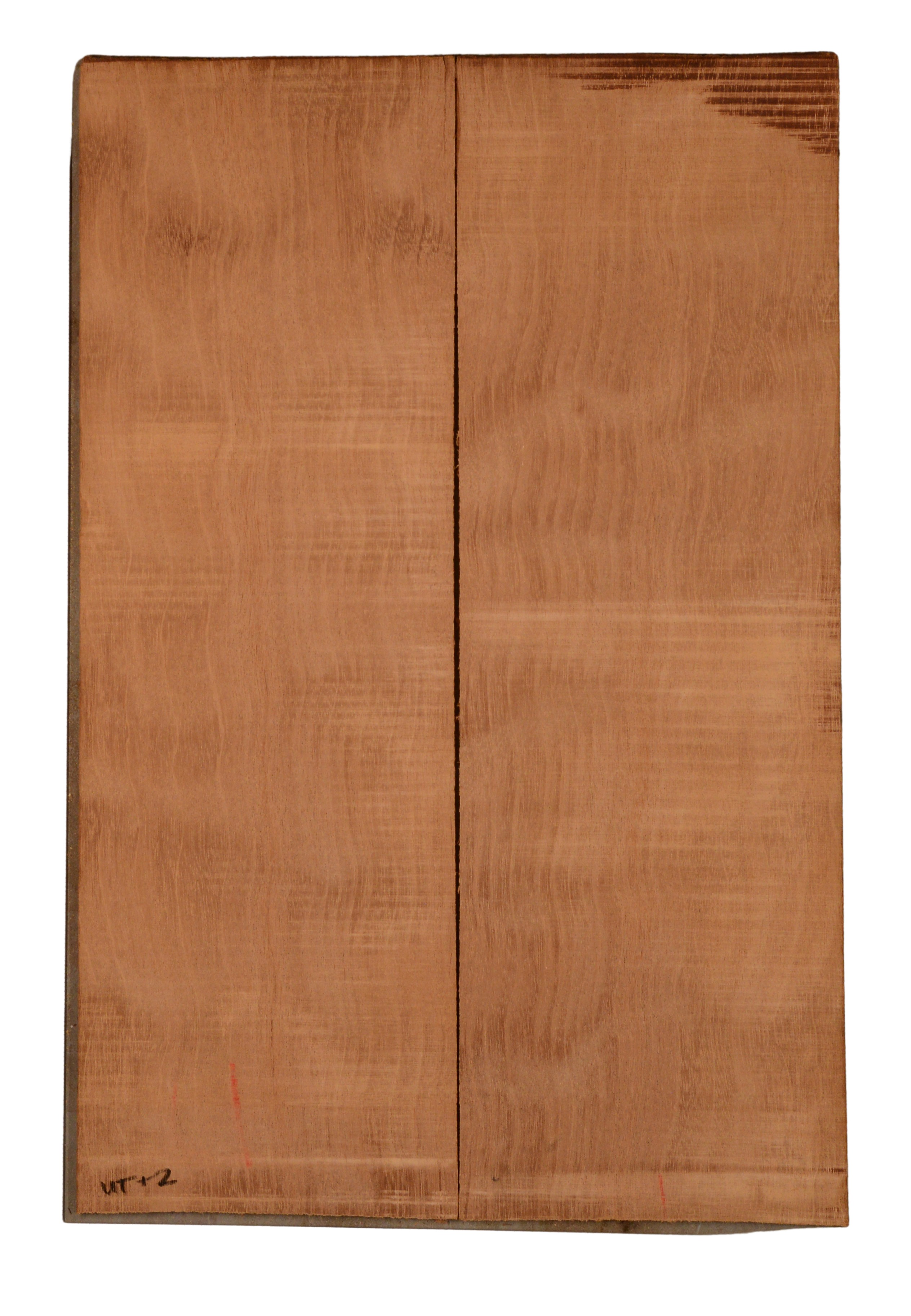 Mahogany (Genuine) UkeBack2pcATC GMAH5.144
