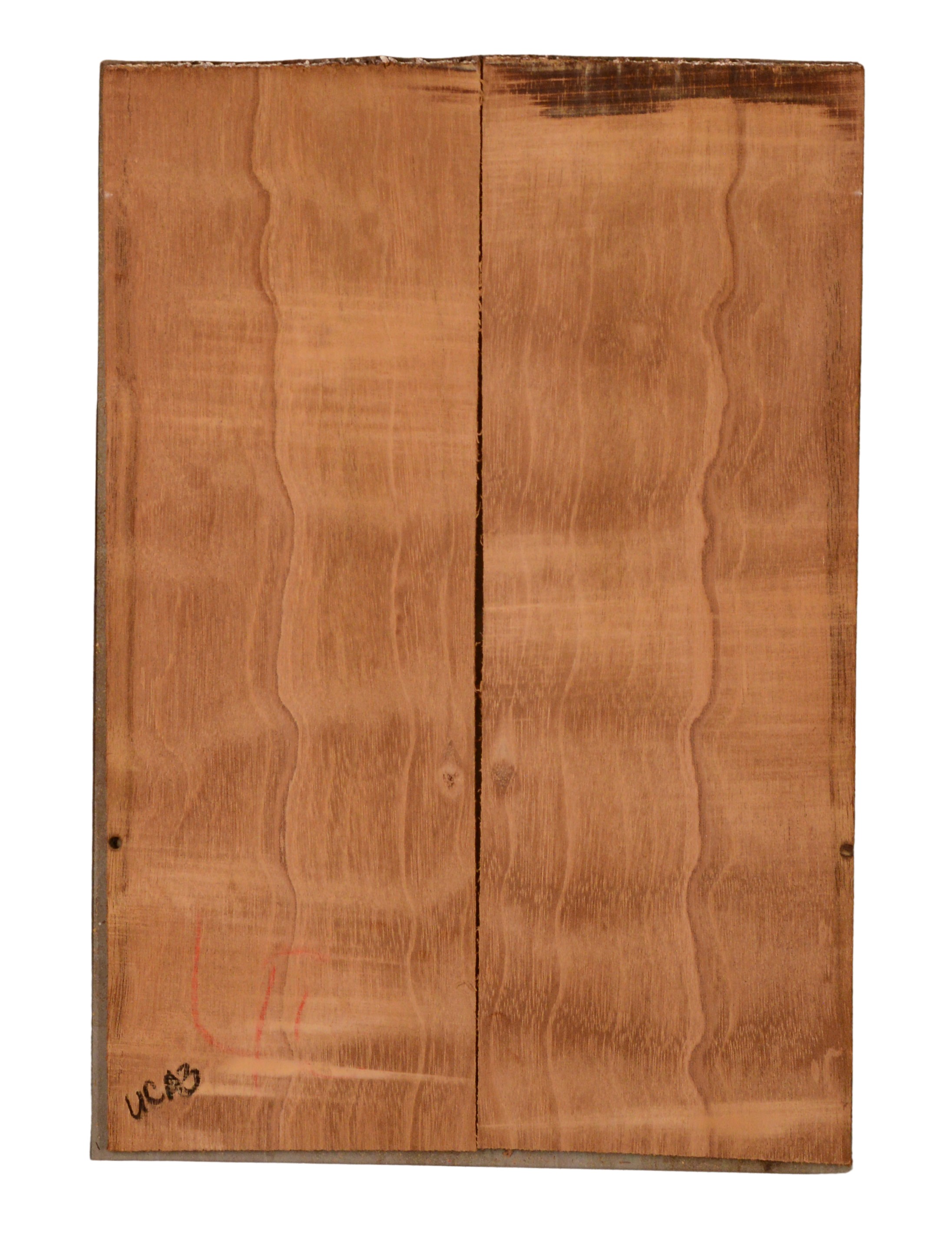 Mahogany (Genuine) UkeBack2pcATC GMAH5.145