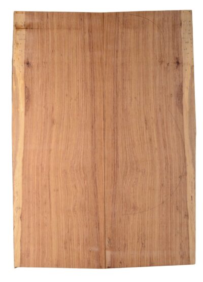 Rosewood (Honduras) GuitarBack2pcATC HONRW3.G.178