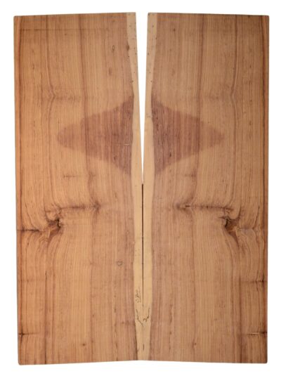 Rosewood (Honduras) GuitarBack2pcATC HONRW3.G.179