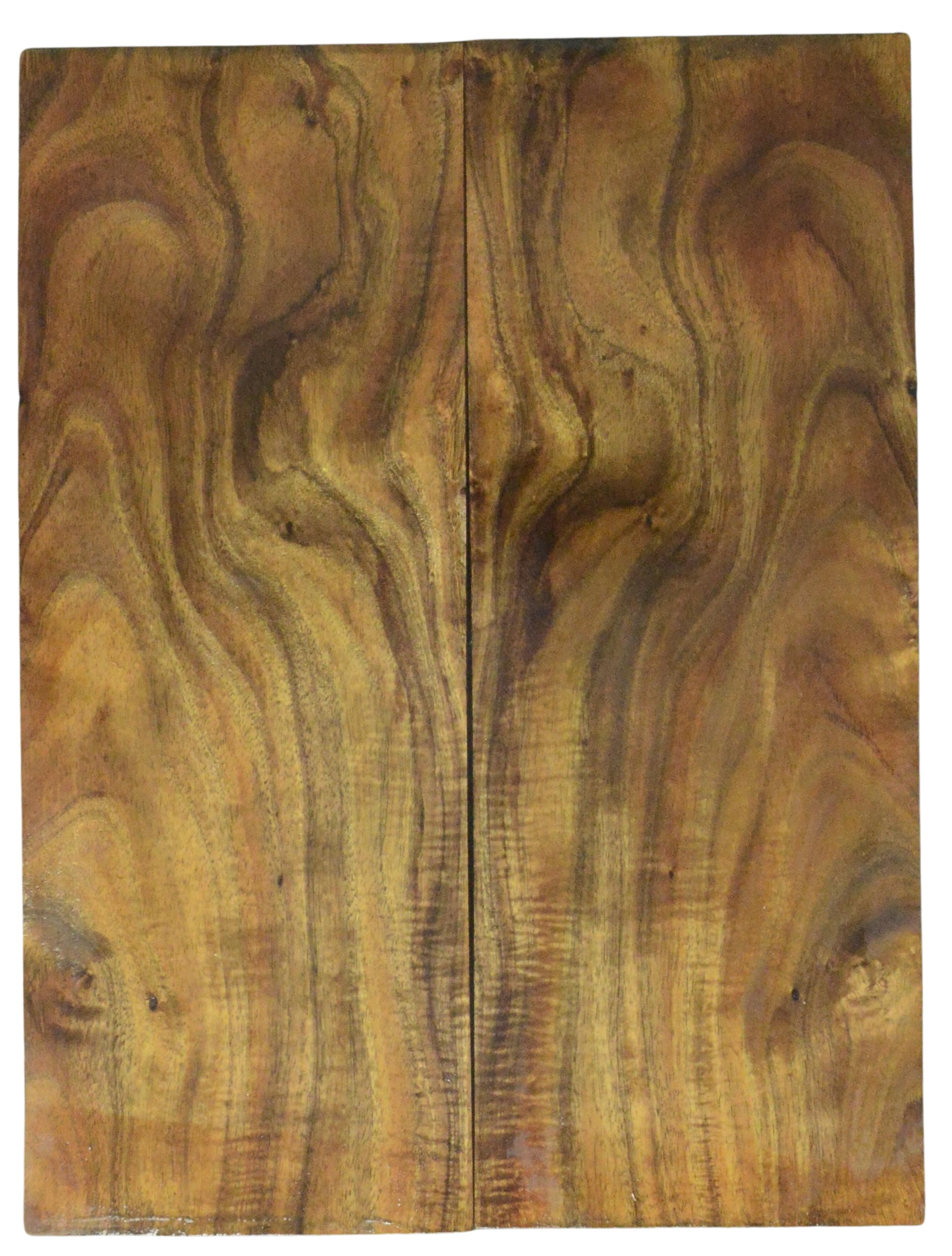 Koa GuitarSolidBodyTopATC KOAMX.G.262