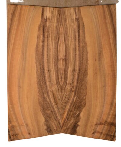 Koa GuitarSolidBodyTopATC KOASB.G.140