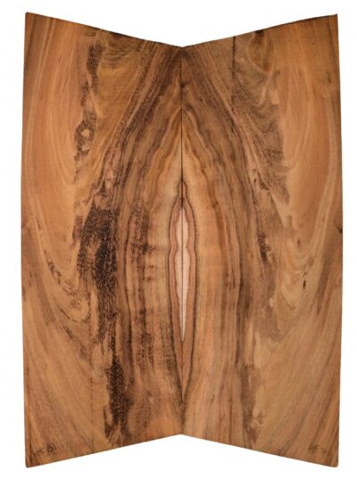 Koa GuitarSolidBodyTopATC KOASB.G.143