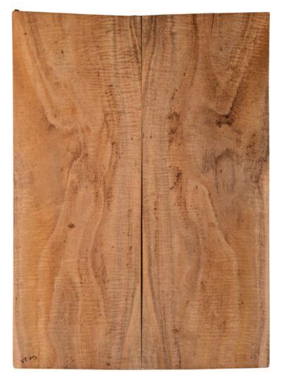 Koa GuitarSolidBodyTopATC KOASB.G.186
