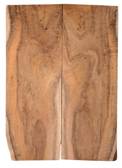 Koa GuitarSolidBodyTopATC KOASB.G.187