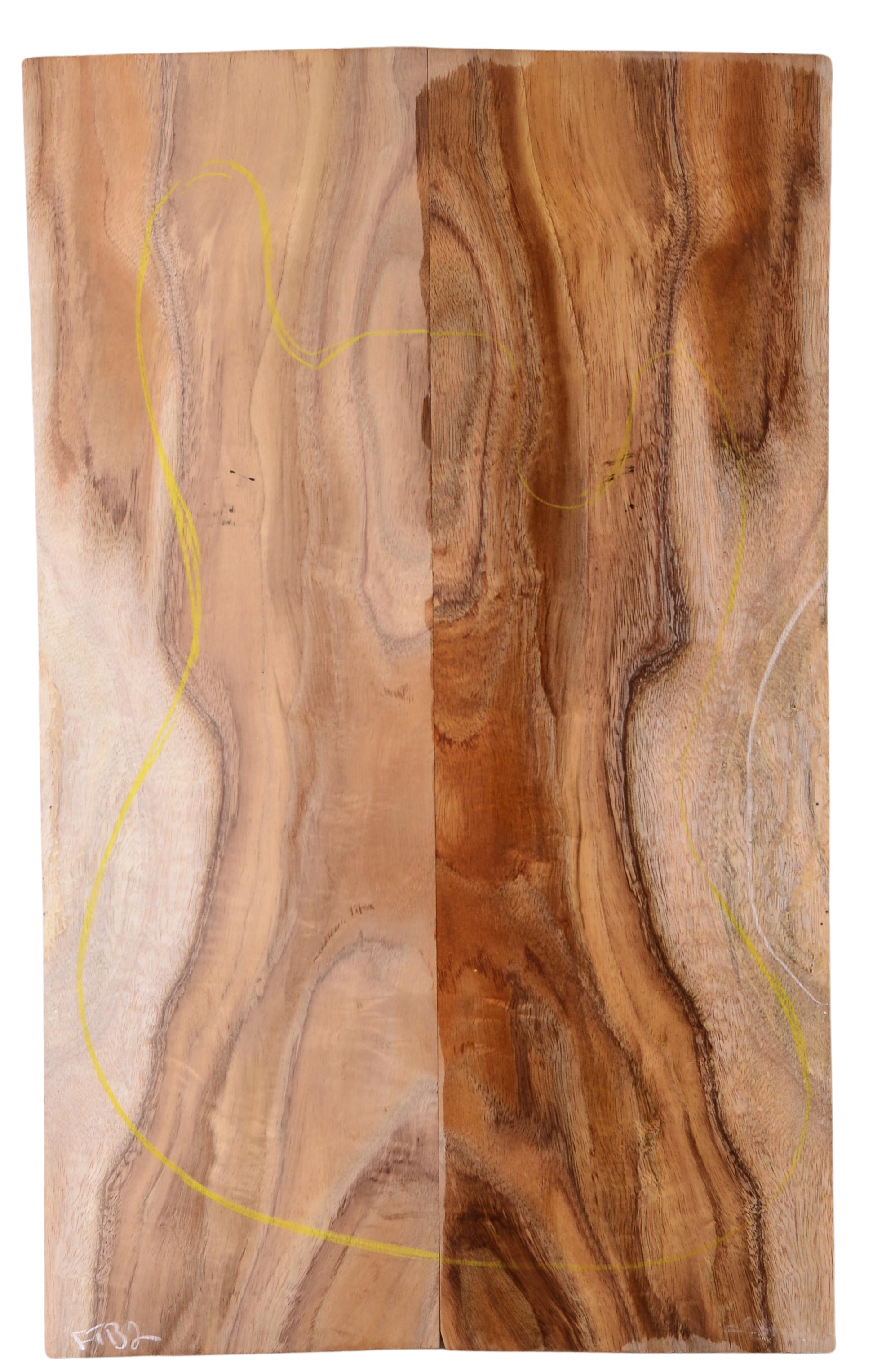 Koa GuitarSolidBodyTopATC KOASB.G.193