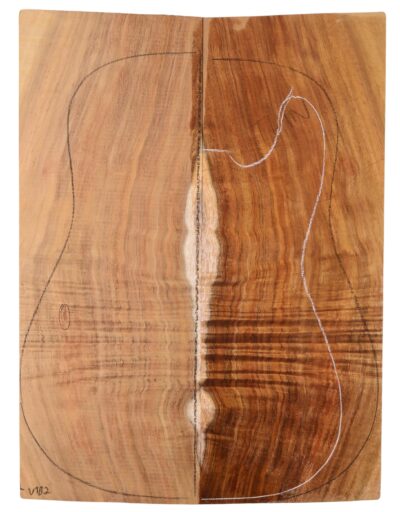Koa GuitarSolidBodyTopATC KOASB.G.209