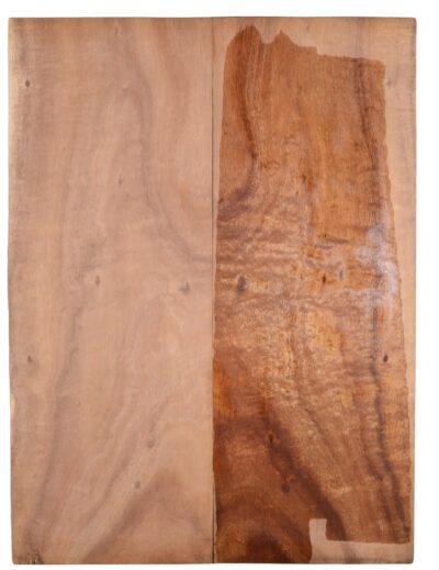 Koa GuitarSolidBodyTopATC KOASB2.G.021