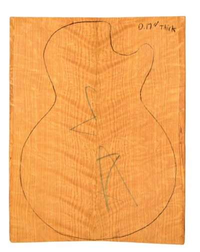 Oak (White) GuitarSolidBodyTopATC L015816.G.001