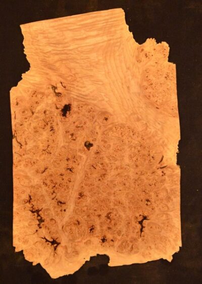 Maple (Big Leaf) GuitarSolidBodyTopATC L015817.G.001