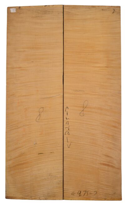 Maple (European) GuitarCelloBack2pcATC L020061.G.002