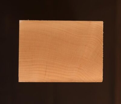 Sycamore (English) GuitarNeckATC L020990.G.001