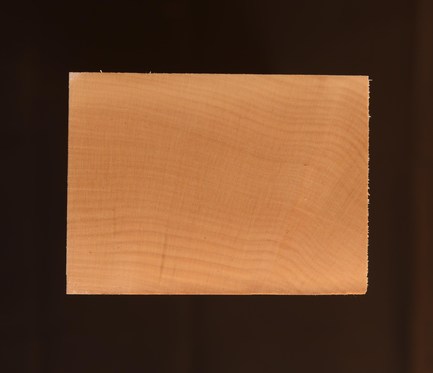 Sycamore (English) GuitarNeckATC L020990.G.001