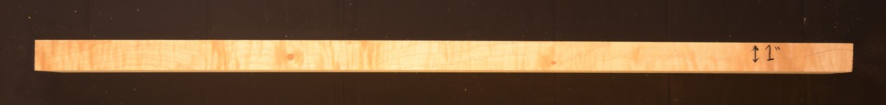 Sycamore (English) GuitarNeckATC L020990.G.008