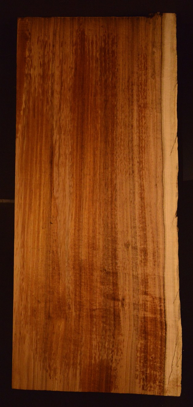 Blackwood (Tasmanian) GuitarBilletATC L020993.G.012