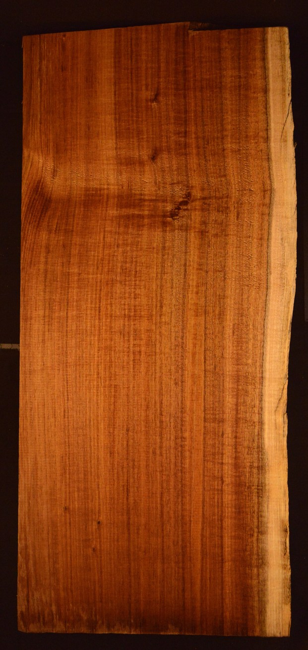 Blackwood (Tasmanian) GuitarBilletATC L020993.G.013