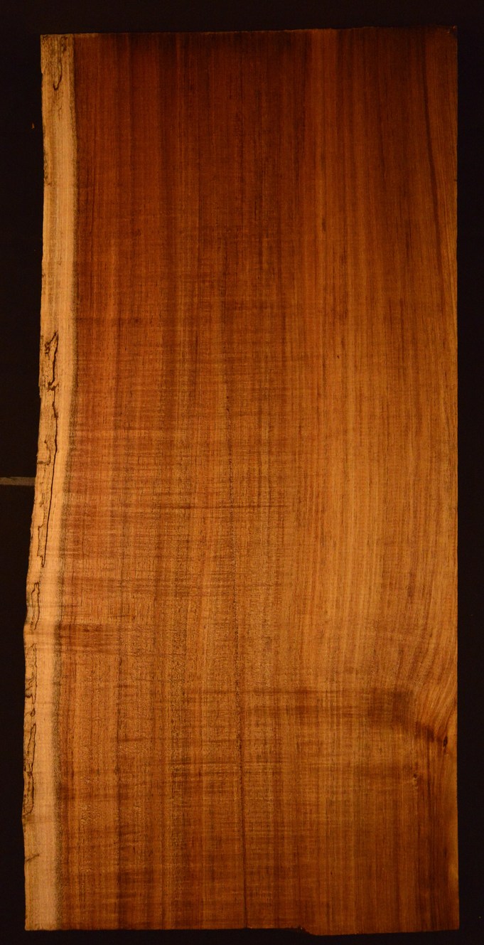Blackwood (Tasmanian) GuitarBilletATC L020993.G.014